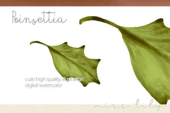 Christmas Holly Leaf Clipart for Editorial and Web Design
