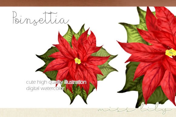 Christmas Poinsettia Pin Illustrations for Crafting
