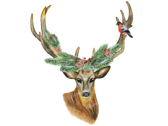 Watercolor Christmas Deer Illustration Review